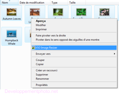 vso Menu contextuel
